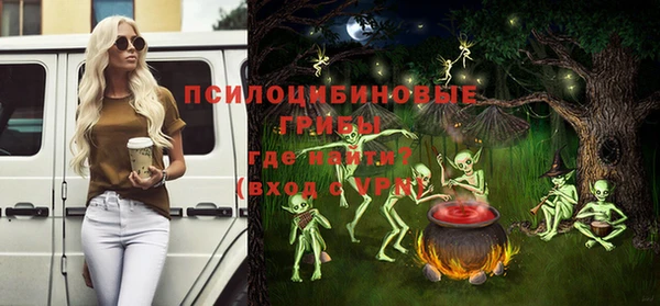 прущие грибы Верхнеуральск