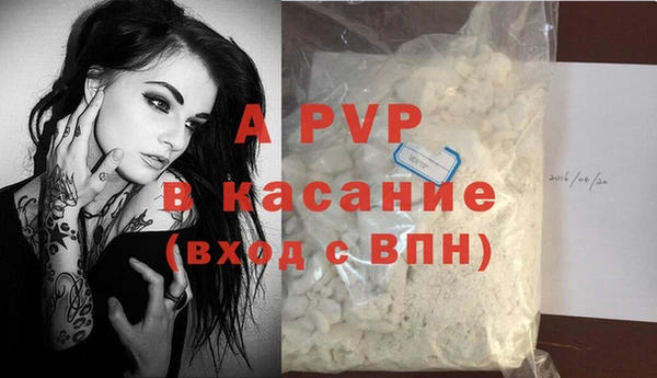 СК Верея