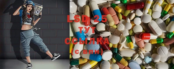 прущие грибы Верхнеуральск